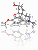 Galantamine drug molecule
