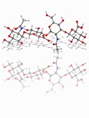 Hyaluronic acid (hyaluronan) molecule