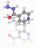 Isoniazid drug molecule