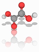 Oxalic acid organic compound molecule