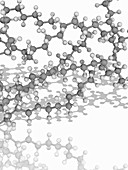 Polyethylene organic compound molecule