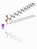 Sodium stearate organic compound molecule