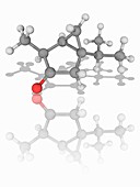 Thujone organic compound molecule