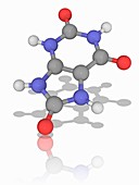 Uric acid organic compound molecule