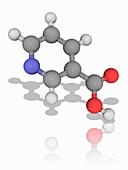 Niacin (vitamin B3) organic compound molecule