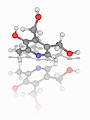 Vitamin B6 (pyridoxine) organic compound molecule