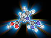 Creatine organic compound molecule