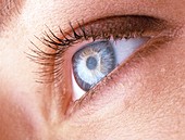 Close-up of a woman's blue eye (side view)