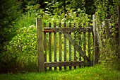 Weathered wooden garden gate and green lawn
