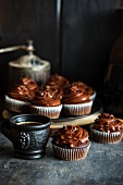 Schokoladencupcakes mit Buttercreme und Kaffee