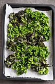 Kale chips on a baking tray