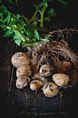 Young potatoes with soil, roots, haulm and leaves over black wooden table