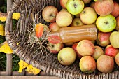 Homemade apple juice and fresh apples in a basket