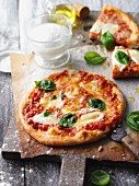 Pizza Margherita mit frischem Basilikum