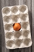 One brown egg in an egg carton