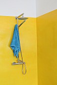 Two-tone painted wall in shower