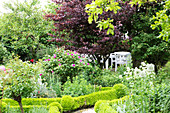 Üppiger Garten mit Beetbegrenzung aus Buchshecken und Buchskugeln