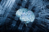Computer circuit board and human brain