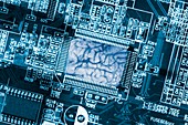 Human brain and computer circuit board
