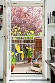 View of flowering narcissus on bright, spring balcony