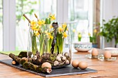 Arrangement of narcissus, moss and quail eggs in glass bowl