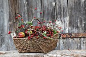 Autumn arrangement of rose hips, moss and apples in wicker basket in front of board wall