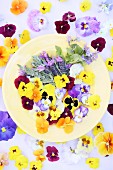 Various edible flowers on yellow plate