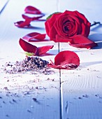 Rose salt with a rose and rose petals