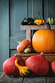 Assortment of different edible and decorative pumpkins on wooden chest over wooden background