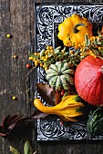 Assortment of different edible and decorative pumpkins and autumn berries in black decorative tray over wooden surface