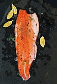 Raw salmon filet with lemon and rosemary on chipped ice over dark stone backdrop