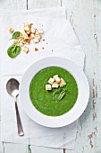 Spinach soup with croutons in white bowl