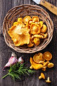 Raw chanterelles in basket on wooden texture