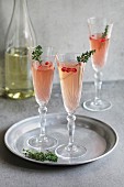 Granatapfel-Champagner mit Thymian in Gläsern auf Tablett