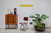 Yellow, zigzag, wall-mounted coat rack, chest of drawers, retro chair and houseplant with large leaves