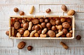 Nut mix of walnuts, macadamia nuts, hazelnuts, almonds and peanuts