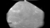 Apollo 12 lunar orbit view