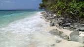 Tropical beach, Seychelles