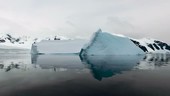 Sailing through icebergs, Antarctica