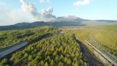 Forest and erupting volcano, Sakurajima