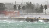 Storm waves and shipping container, Japan