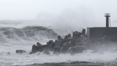Storm waves hitting sea wall, Taiwan