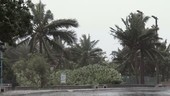Typhoon, Taiwan