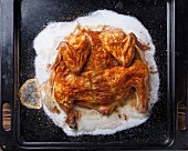 Whole roasted chicken with salt on black background