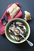 Mussel soup with saffron and cream sauce