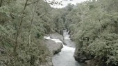 Hollin river, Ecuador