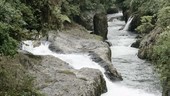 Hollin river, Ecuador