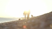 Retired Senior Couple walking on beach with dogs