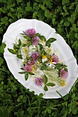 Potpourri of flowers on white china plate amongst green clover