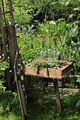 Various flowers and glass bottles in vintage wooden crate in rural garden
